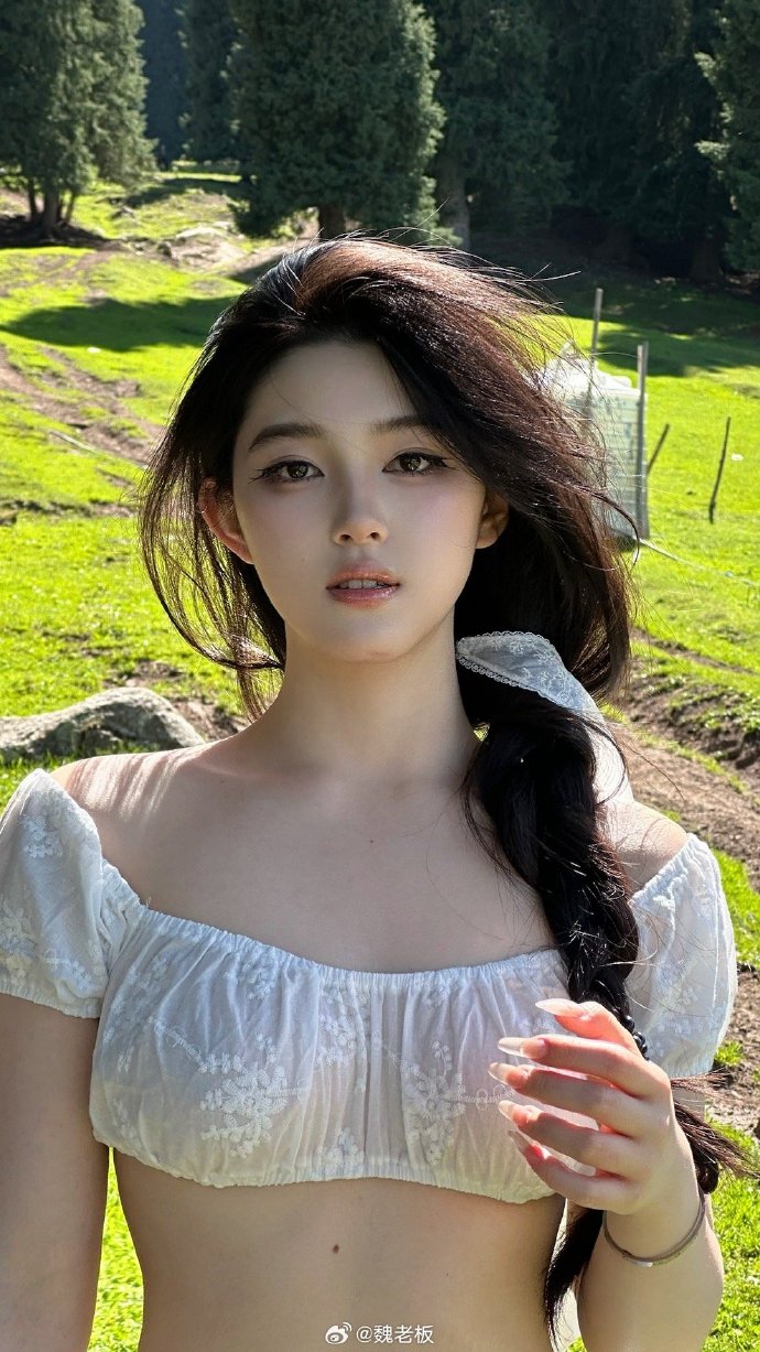 风骚律师 封面